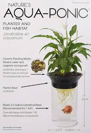 Penn Plax Aquaponic Betta Fish Tank Plants Aquaponics Betta Fish