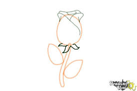 Maybe take a break and try coloring for a change. How To Draw A Rose Easy Drawingnow