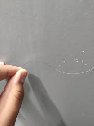 My hair also comes out so easily. A Hair I Pulled Out Of My Head Was Half Black And Half White Mildlyinteresting