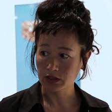 Hito Steyerl