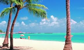 Image result for maceio