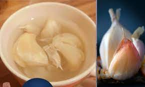 Bawang putih bisa dibilang salah satu bahan wajib yang ada di banyak makanan khas indonesia. Amal Minum Air Rendaman Bawang Putih Wanita Ni Berjaya Turunkan Berat Badan Amalkan Sekarang Untuk Misi Ramping Di Hari Raya Keluarga