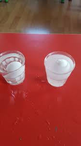 Yumurta Deneyi Taze Yumurta Saglik