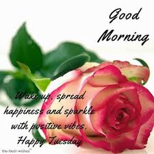 Its a blessing for human being. 116 Lovely Good Morning Tuesday Images Wishes And Pictures