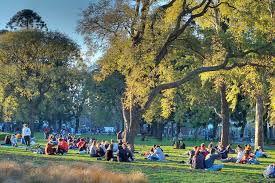 Image result for parque