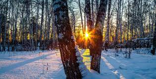 During the winter solstice, the north pole is tilted farthest away from the sun, delivering the fewest hours of sunlight of the year. Winter Solstice Around The World In 2021 There Is A Day For That