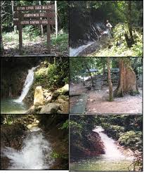 Taman negeri royal belum dipercayai telah wujud selama lebih dari 130 juta tahun, menjadikannya salah satu hutan hujan tertua di dunia, lebih tua dari hutan hujan amazon dan hutan hujan kongo. Takah Merluh Kg Tenang Official Portal Of Labis District Council Mdl