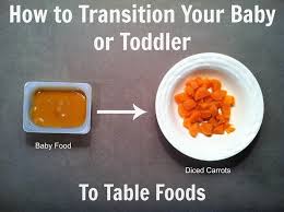 how to transition your baby or toddler to table foods