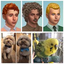 Sims 4 bird mod is handy for you to inquiry on this website. Was Inspired To Make My Pets In The Sims After Seeing Another Post Sims4