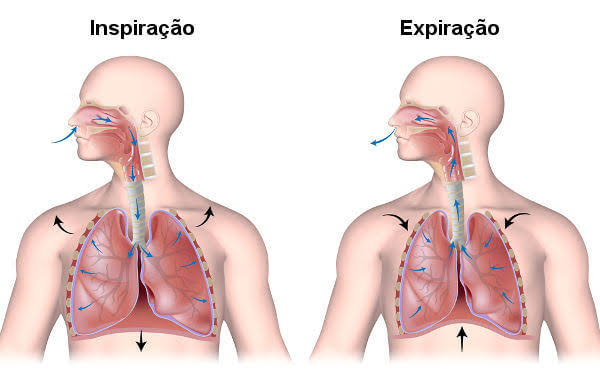 Resultado de imagem para movimentos respiratórios