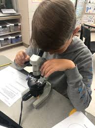 Maybe you would like to learn more about one of these? Krystal Clover A Twitteren What Do Animal Cells Look Like Under A Microscope 6th Grade Scientists Check Out Their Own Cheek Cells Under The Microscope How Are They Different From The Plant