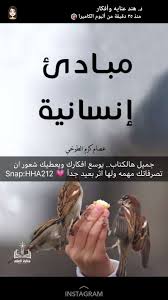 pin by wissal lahouirich on سنابات الدكتورة هند fiction books worth reading book qoutes book club books