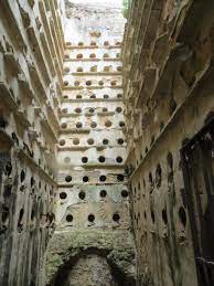 Maybe you would like to learn more about one of these? Wikiloc Foto Von Vejer Palomar De La Brena Canos De Meca Barbate 1 6