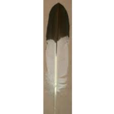 4.2 out of 5 stars. Immature Golden Eagle Feather Indian Crafts Craft Kits