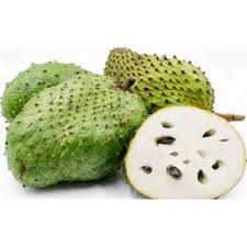 Anda hanya perlukan sebanyak 10 helai daun durian belanda dan 3 cawan air panaskan sehingga mendidih. Durian Belanda In English