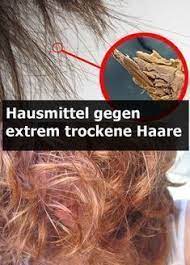 hausmittel fur extrem trockenes haar extremely dry hair dry hair home remedies for hair