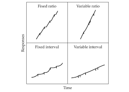 Variable Interval Reinforcement Schedules Graph Google Search Applied Behavior Analysis Behavior Analysis Graphing