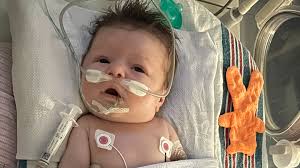 Fundraiser by Salvatrice Europa : Support Baby Hudson's Battle for Life