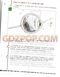 самостоятельные и контрольные работы по математике 4 класс петерсон Gdz 8 Klass Geometriya Onlajn Ershova Sbornik Samostoyatelnyh I Kontrolnyh Rabot Social Security Card Cards Bullet Journal