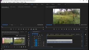 The constant refinement to premiere pro show how useful subscription based software can be: Premiere Pro Cc 2018 Color Problem Tutorial Green And Pink Color Problem Solution Youtube