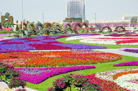Dubai Marical Garden Jardin De Flores Garden Wallpaper Jardines