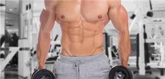 Training männer training ideen krafttraining für anfänger training zu hause laute gewichtsreduktion ausbildung training ohne ausrüstung krafttraining. Manner Und Die Muskelsucht
