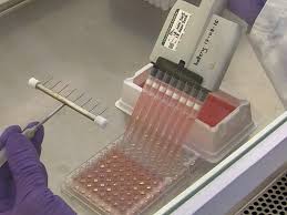 Image result for Neutralization Test