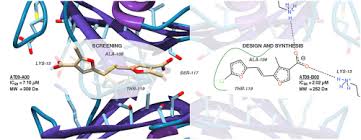 Așa spurcat în niciun caz. A Novel Bis Furan Scaffold For Transthyretin Stabilization And Amyloid Inhibition Sciencedirect