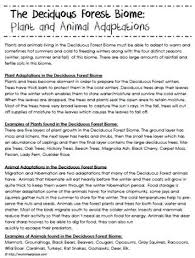 Animal And Plant Habitat Deciduous Forest Deciduous Forest Biome Biomes Activities Temperate Deciduous Forest