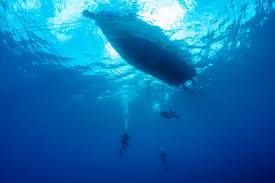 Check spelling or type a new query. Blue Light Laser Technology Enhances Underwater Object Detection