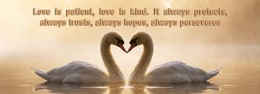 Love Is Patient Love Is Kind Quote With Beautiful Images Love Is Patient Kindness Quotes Kindness