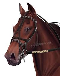 Highland Billy By Jullelin On Deviantart Horse Drawings Horse Artwork Spirit The Horse