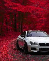 Ema Premium Estrategia Milionaria Bmw M6 Coupe Bmw Cars Dream Cars Bmw