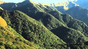 壽山國家自然公園 shoushan national natural park. é™½æ˜Žå±±åœ‹å®¶å…¬åœ' äººèˆ‡æ£®æž— Youtube