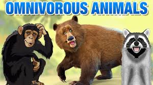Omnivorous Animals Names Simba Tv Omnivores Animals Names List Educational Video Youtube