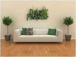 Ideas para decorar un comedor con plantas. Consejos Para Decorar Las Salas Con Plantas Decorativas Decoracion De Interiores
