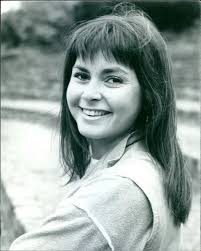 Katie Budd Discography: Vinyl, CDs, & More