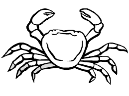 Crabe Dessin Az Coloriage Crabe Dessin Coloriage Livre Coloriage