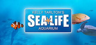 Kelly Tarlton S Sea Life Aquarium Sea Life Melbourne Aquarium Melbourne Trip Aquarium