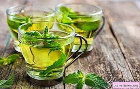 Daunnya berwarna hijau, susunan daun ringkas, licin. Manfaat Dan Kemudaratan Teh Pudina Fakta Menarik Tentang Penggunaan Teh Peppermint Cara Membuatnya Faedah Dan Bahaya Diet