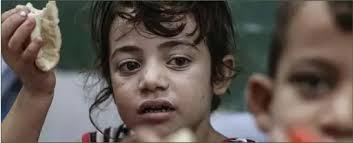 GAZA: Where Hunger Kills and Conscience Dies