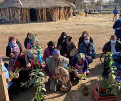 Bats, whales, and now add tree mice to the groups of mammals who use echolocation! L9e0tz1wgpyhxm