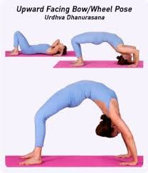 Urdhva Dhanurasana Upward Bow Pose Wheel Pose Benefits Finally Able To Push Up Cant Hold It Long But Got There Bow Pose Yoga Yoga Help Bow Pose