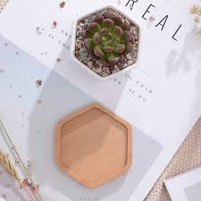 Free shipping on orders over $35. 3 Sets Of Small White Ceramic Hexagonal Succulent Containers Plant Pot Cactus Planter Pot With Bamboo Tray Flower Pots Planters Aliexpress