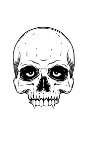Cool.now that.s more how a vampire would look like. Skull Vampire Skeleton Art Skull Art Skull