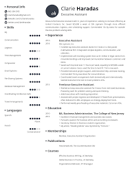 Here's what we're going to cover resume format pros and cons how to choose a resume format Best Resume Format For A Professional Resume In 2021