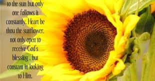 Quotes About Love And Sunflowers Quotesgram Sunflower Quotes Sunflower Flower Quotes