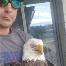 Shooting of bald eagle in Oglethorpe County brings anger, sadness