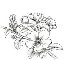Epingle Sur Draw