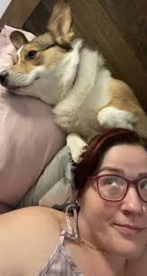 Welcome new corgi owners and members